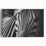 Stretched canvas wall art featuring a striking zebra design in vibrant black and white, perfect for animal lovers and modern decor enthusiasts. Ideal for enhancing living spaces.
