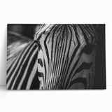 Elegant stretched canvas wall art showcasing a striking zebra design, featuring bold black and white stripes, perfect for modern decor. Ideal for animal lovers.