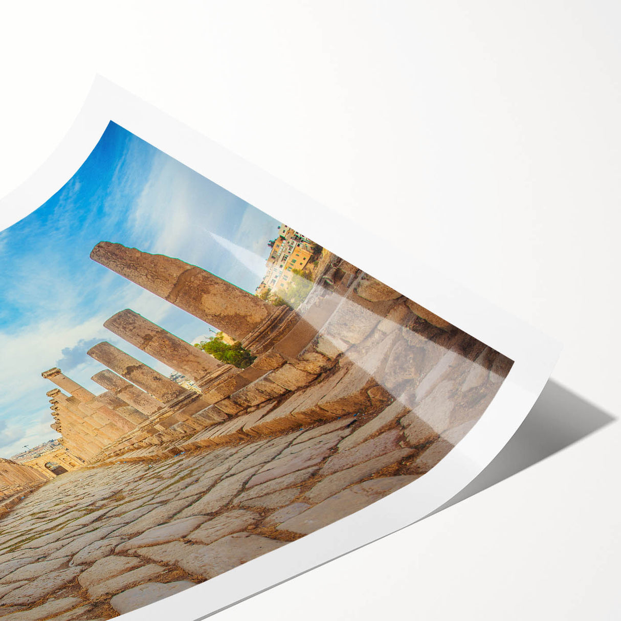 Extra large wall art featuring line art flowers on ancient ruins, in muted earth tones, ideal for large living room decor.