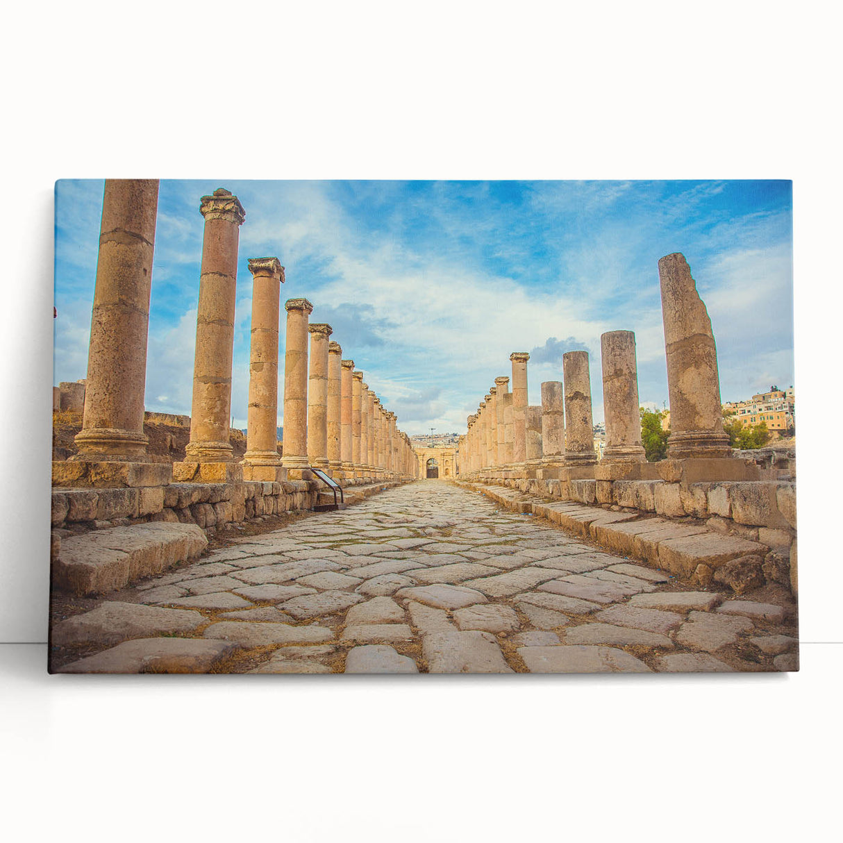 Black and white print of ancient ruins on stretched canvas, ideal for kitchen wall art or bedroom ambiance.