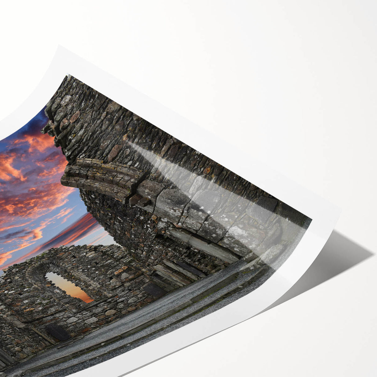 Extra large wall art featuring line art flowers on ancient ruins, in muted earth tones, printed on rolled canvas.