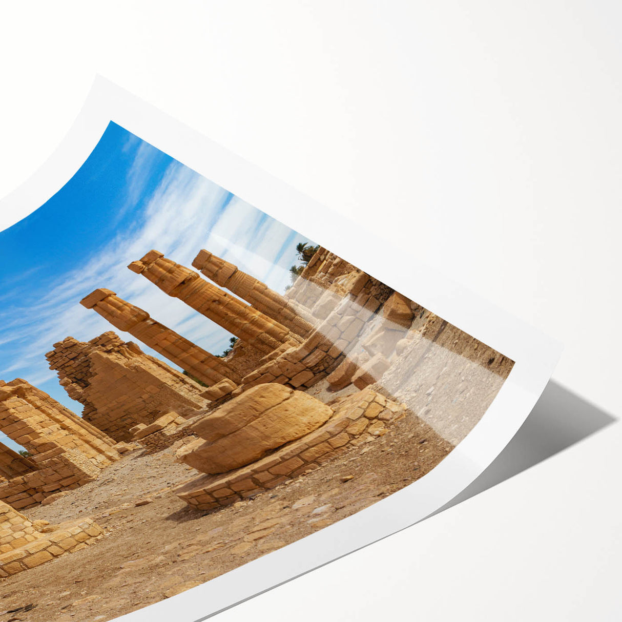 Extra large wall art featuring line art flowers on a rolled print, set against muted earth tones.