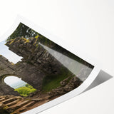 Extra large wall art featuring line art flowers on a canvas of ancient ruins in muted tones.