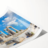 Extra large wall art featuring line art flowers on ancient ruins, in muted earth tones on rolled canvas.