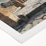 Art deco poster featuring ancient ruins in muted beige and brown tones on rolled canvas, suitable for dining room decor.