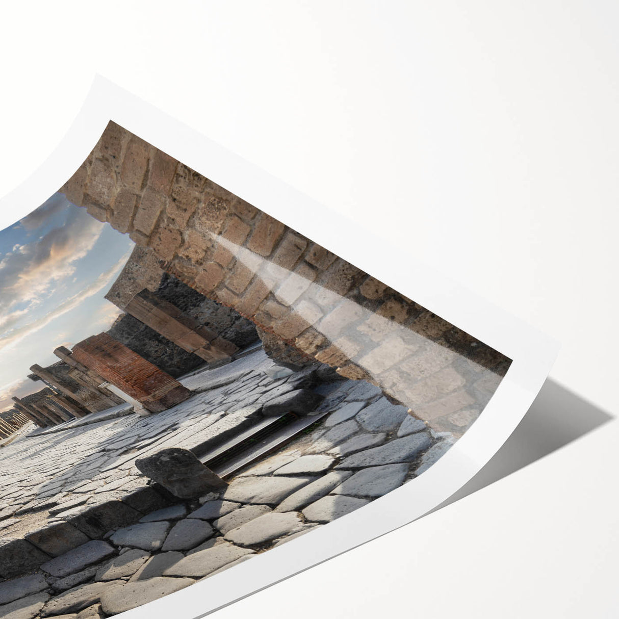 Extra large wall art featuring line art flowers on ancient ruins, rendered in muted earth tones.