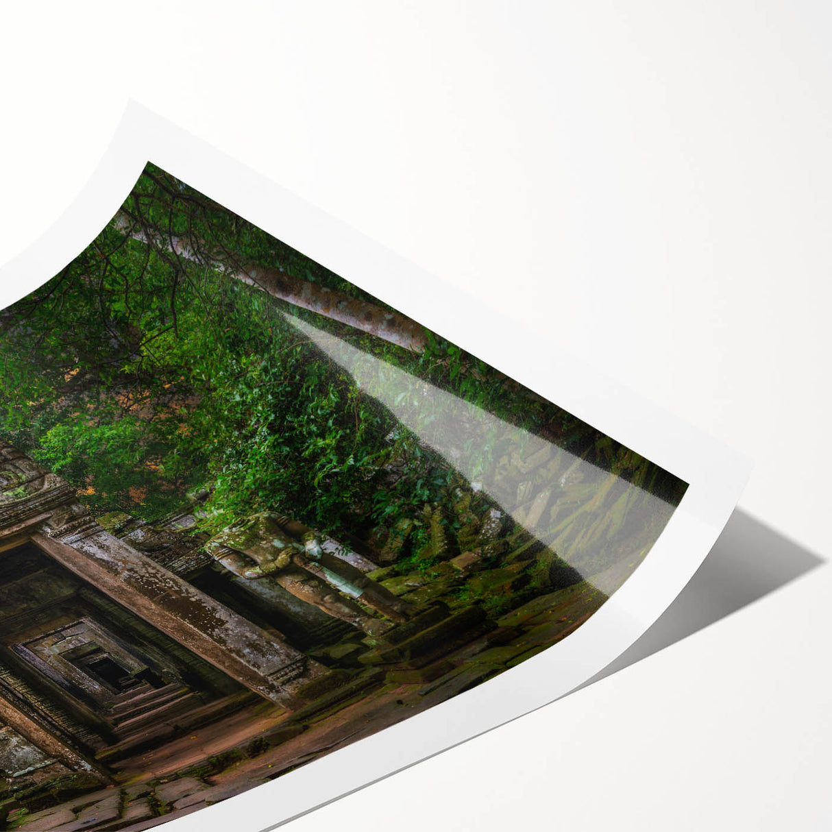 Extra large wall art featuring line art flowers on ancient ruins, in muted earth tones, ideal for large living room decor.