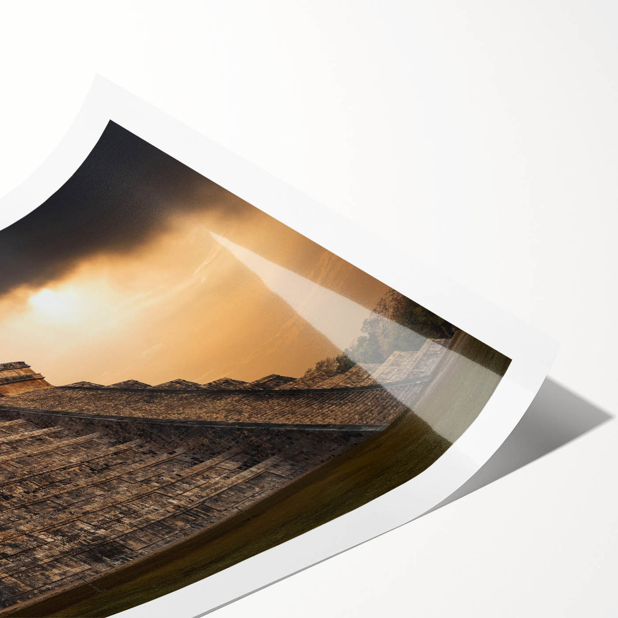 Extra large rolled print featuring line art flowers on ancient ruins, in muted earth tones.