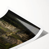 Extra large rolled print of line art flowers with muted earth tones, ideal for large living room wall art.