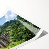 Extra large rolled print featuring line art flowers in black and white, ideal for large living room wall art.