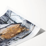 Extra large rolled print featuring line art flowers in black and white, ideal for large living room wall art.