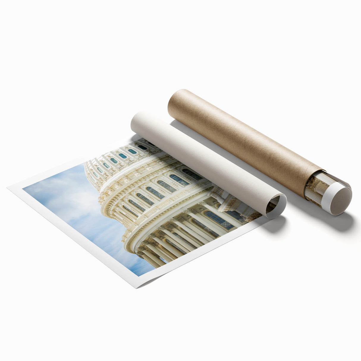 Extra large rolled print featuring floral art with soft pink and green hues on a white background.