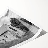 Extra large wall art featuring line art flowers in black on a white background, ideal for large living room wall decor.