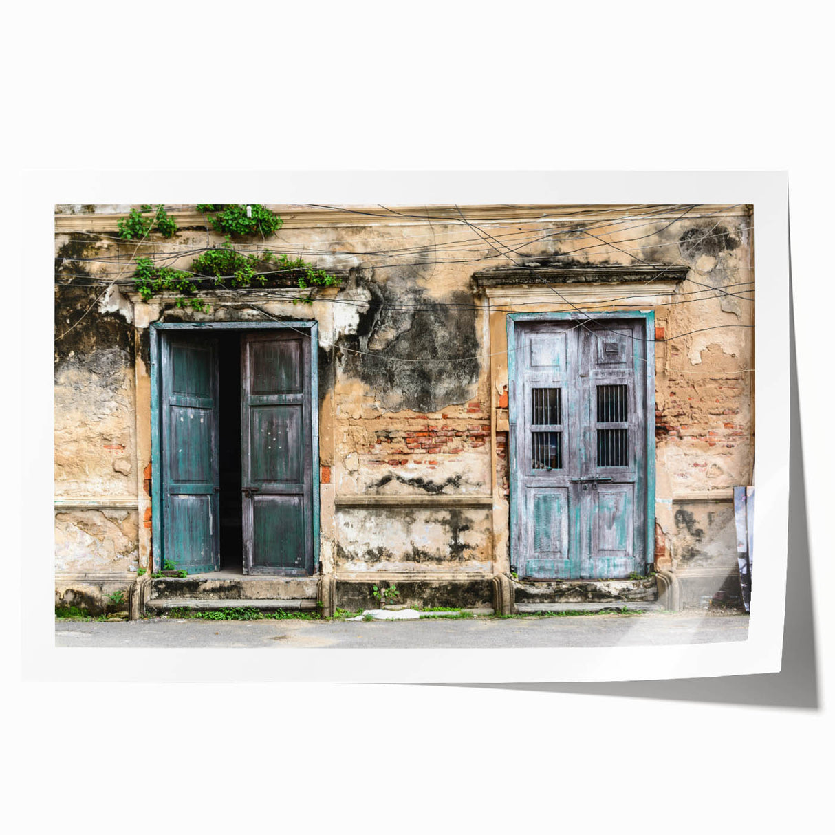 Extra large rolled print featuring a detailed floral design on a door, in muted earth tones.