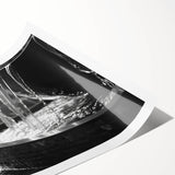 Extra large wall art featuring line art flowers in black and white on rolled print, suitable for large living room decor.