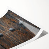 Extra large wall art featuring line art flowers in monochrome, ideal for large living room decor, rolled print format.
