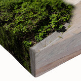 Large art featuring a black and white landscape painting on stretched canvas, suitable for bedroom wall decor.