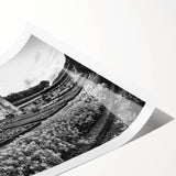 Extra large wall art featuring line art flowers in black on a white background, rolled print format.