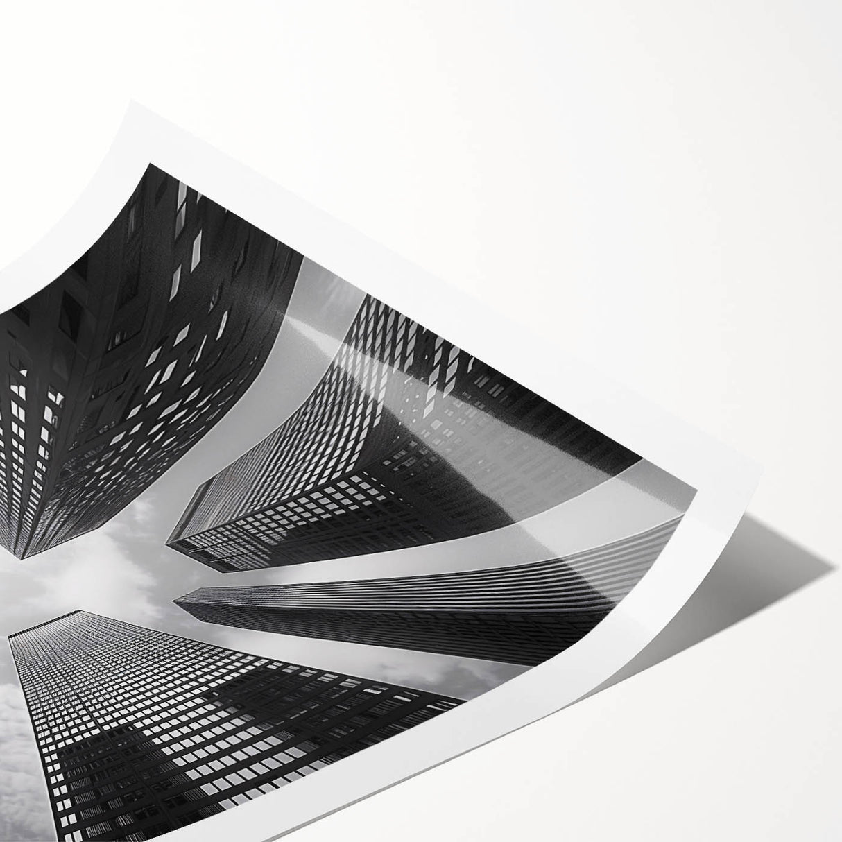 Extra large rolled print featuring line art flowers in monochrome, ideal for large living room wall art.
