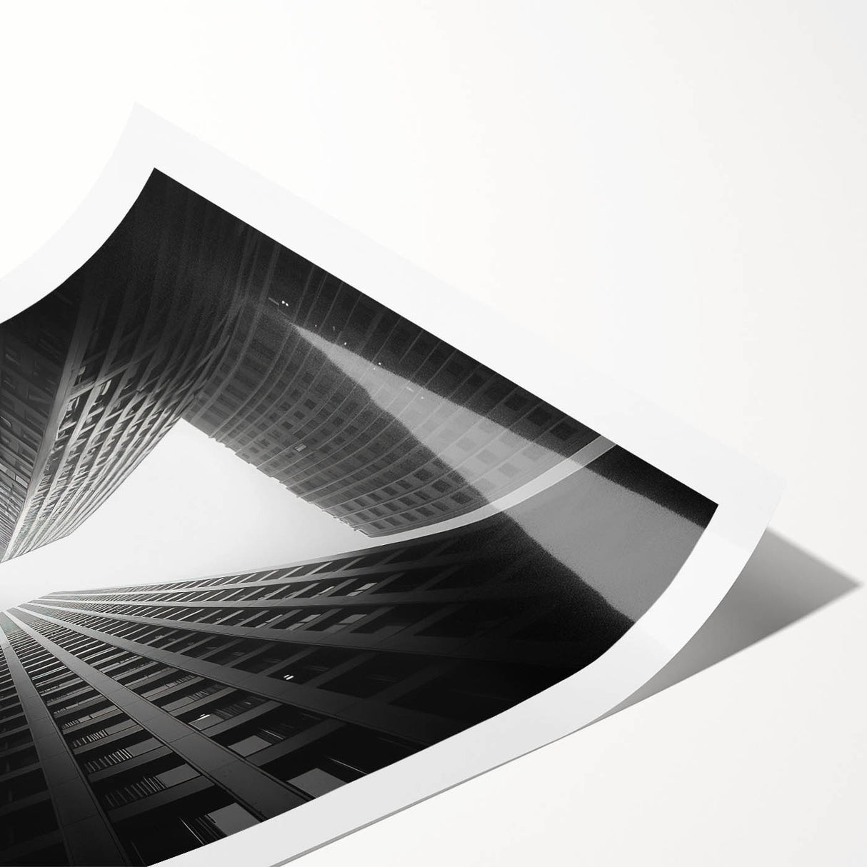 Extra large rolled print featuring line art flowers in a skyscraper design, ideal for large living room wall art.