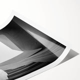 Extra large wall art featuring line art flowers in black on white, rolled print, suitable for large living room decor.