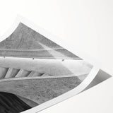 Extra large wall art featuring line art flowers in black and white on rolled canvas, ideal for large living room wall decor.