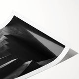 Extra large rolled print featuring line art flowers in black on a white background.