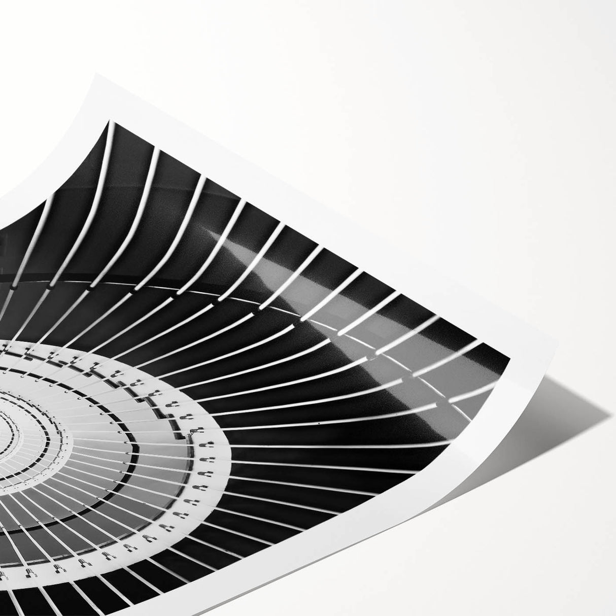 Extra large wall art featuring line art flowers on a rolled print, with monochrome tones.