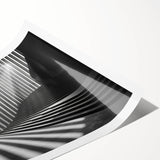 Extra large rolled print featuring line art flowers in monochrome, ideal for large living room wall art.