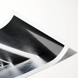 Extra large wall art featuring line art flowers in black and white, printed on rolled canvas.