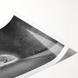 Extra large wall art featuring line art flowers in black on white, rolled print format, suitable for large living room decor.