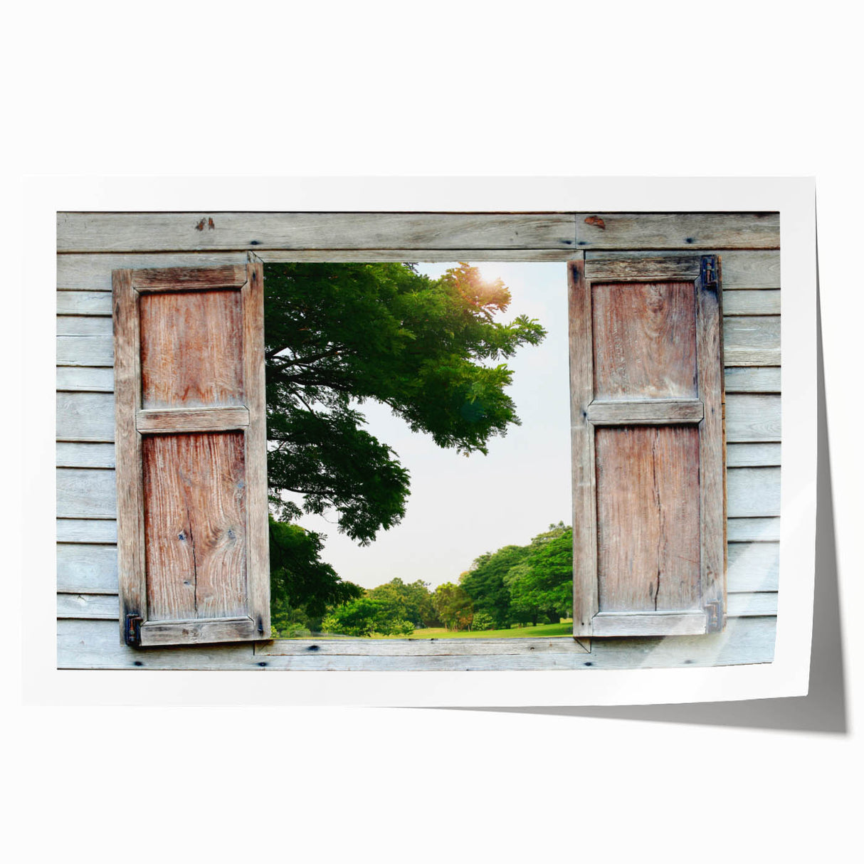 Extra large rolled print featuring a detailed floral design on a window architecture background.