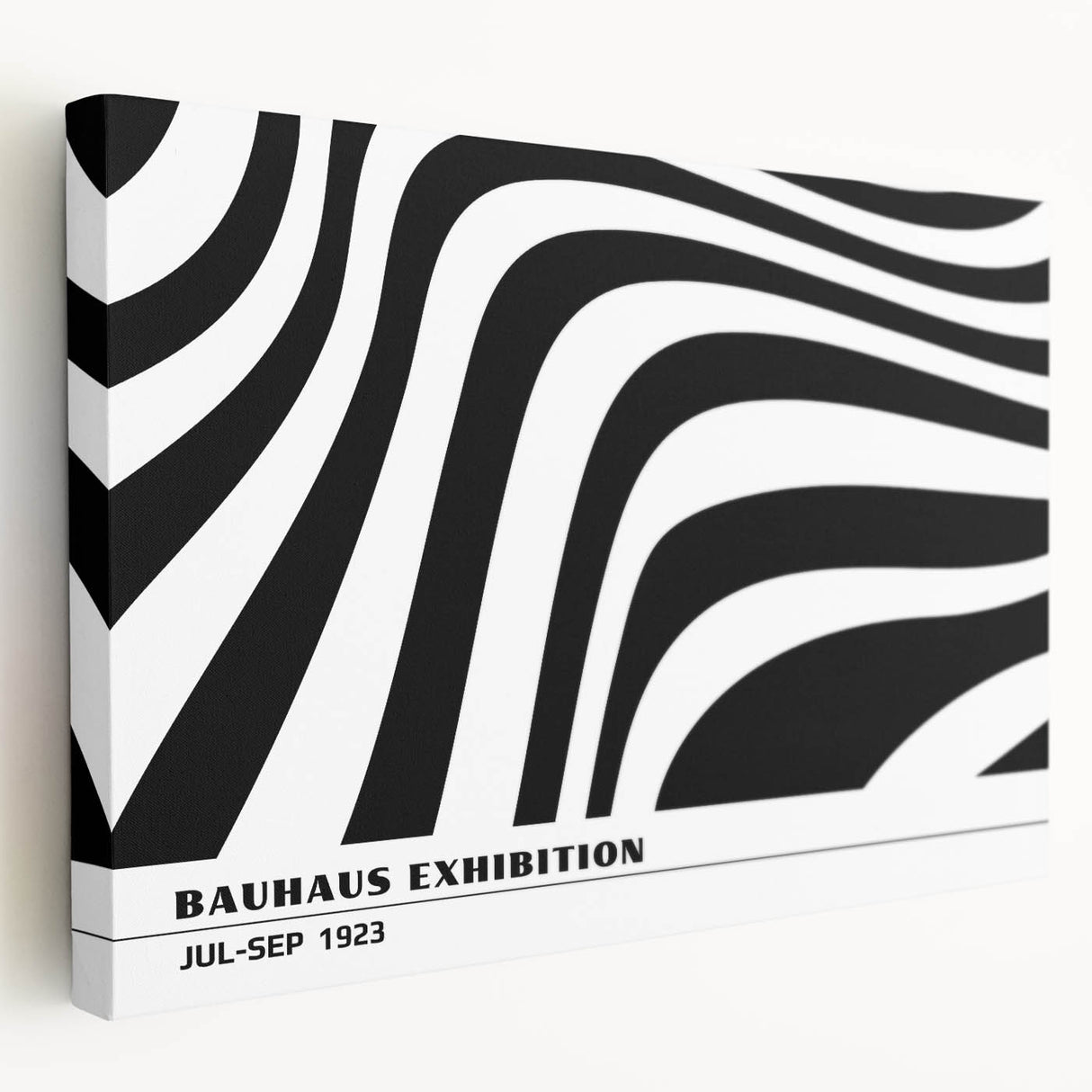 Bohemian Wall Art | Black & White Eclectic Boho Decor Canvas Print