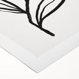 Bohemian Wall Art | Bold Botanical Line Drawing | Minimalist Nature Decor
