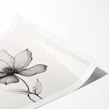 Boho Wall Decor - Delicate Black and White Floral Line Art Bohemian Canvas