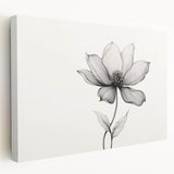 Boho Wall Decor - Delicate Black and White Floral Line Art Bohemian Canvas