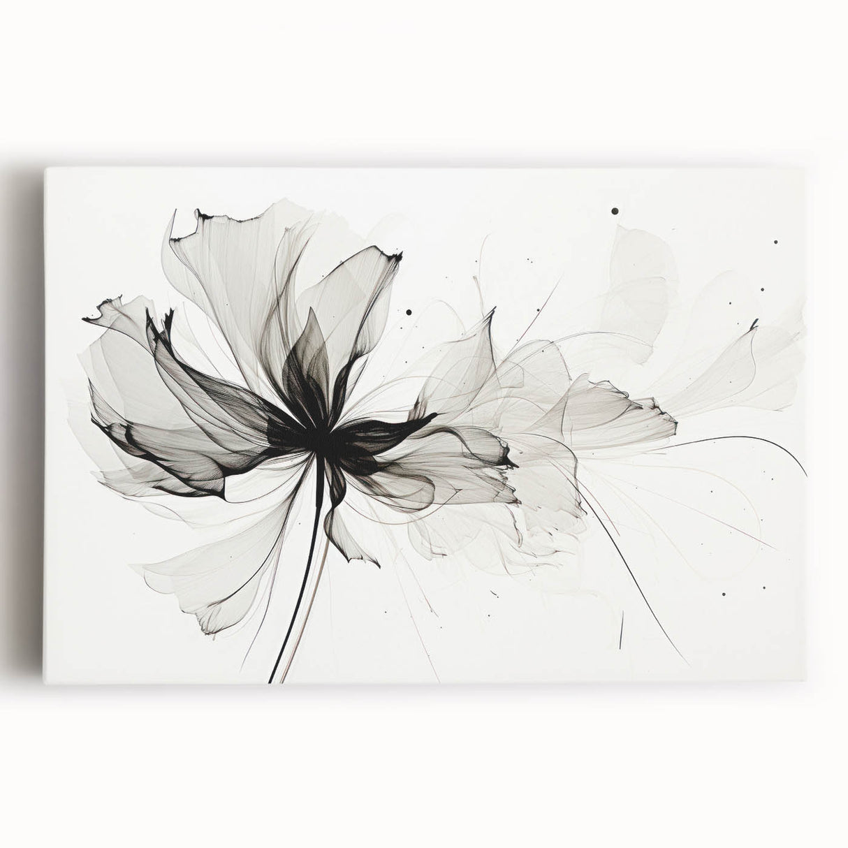 Bohemian Wall Art - Abstract Black and White Floral Boho Canvas Decor