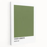 Bohemian Wall Art | Sage Green Minimalist Print | Boho Decor Canvas