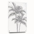 Monochrome Palm Trees Coastal Wall Art - Nautical Tropical Decor Print