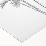 Monochrome Palm Trees Coastal Wall Art - Nautical Tropical Decor Print