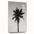Black and White Palm Tree Silhouette - Minimalist Coastal Wall Art Print