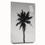 Black and White Palm Tree Silhouette - Minimalist Coastal Wall Art Print