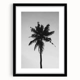 Black and White Palm Tree Silhouette - Minimalist Coastal Wall Art Print