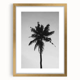 Black and White Palm Tree Silhouette - Minimalist Coastal Wall Art Print
