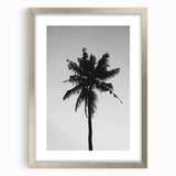 Black and White Palm Tree Silhouette - Minimalist Coastal Wall Art Print