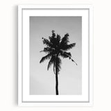 Black and White Palm Tree Silhouette - Minimalist Coastal Wall Art Print