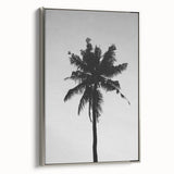 Black and White Palm Tree Silhouette - Minimalist Coastal Wall Art Print