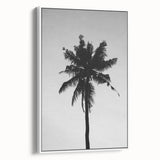Black and White Palm Tree Silhouette - Minimalist Coastal Wall Art Print