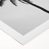 Black and White Palm Tree Silhouette - Minimalist Coastal Wall Art Print