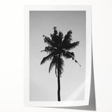 Black and White Palm Tree Silhouette - Minimalist Coastal Wall Art Print
